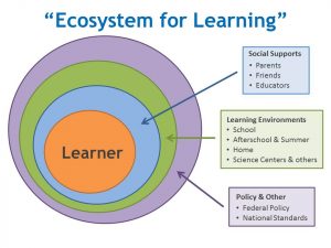 Is School an Ecosystem?